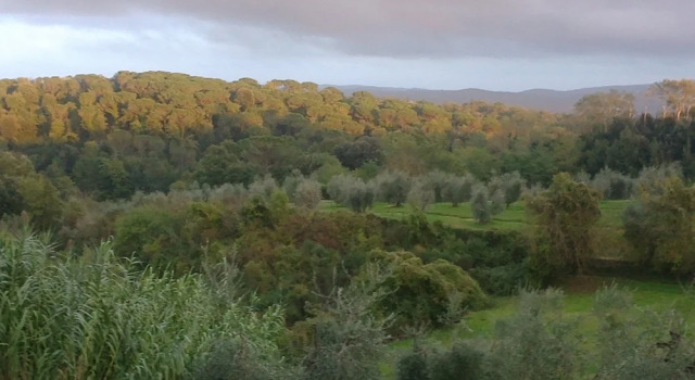 Двухместный номер Standard с видом на внутренний двор Podere San Quirico