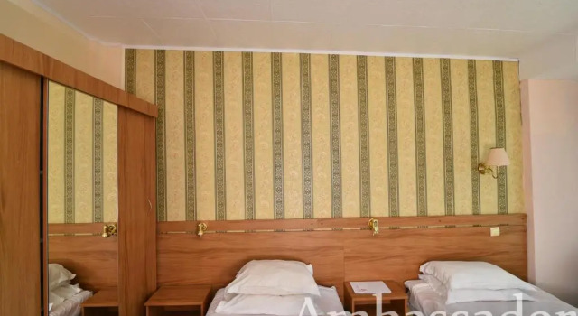 Двухместный номер Standard с балконом Hotel Ambassador