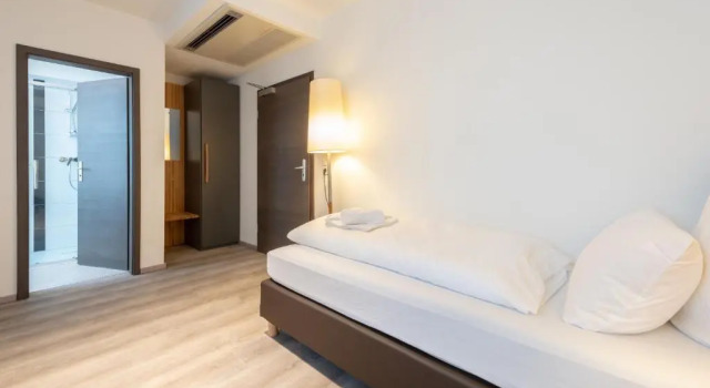 Одноместный номер Standard Hotel in Laisen