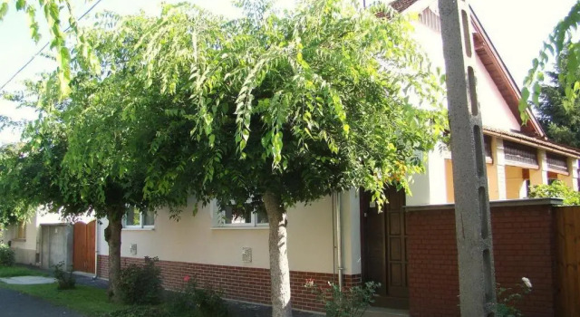 Коттедж с 3 комнатами Hajnal Apartman