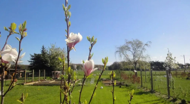 Апартаменты c 1 комнатой Cologne Country Lodge
