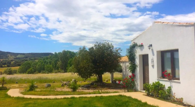 Номер Superior Agriturismo Turudhis
