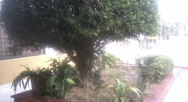 The Meeting Point Hostel, Prenota Ostello Barranquilla Atlántico