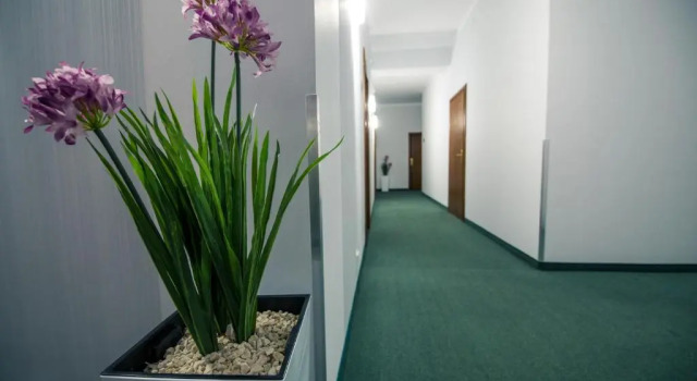 Двухместный номер Standard Hotel Villa Riviera