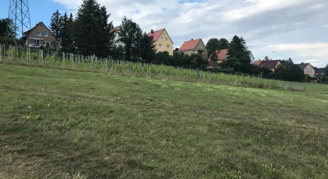 Апартаменты Дуплекс STUDIO am Kaitzer Weinberg