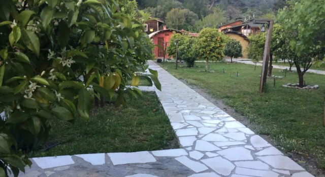 Бунгало Simurg Evleri Olympos
