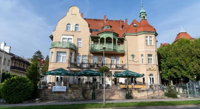 Двухместный номер Standard с красивым видом из окна Amalia - noclegi i restauracja