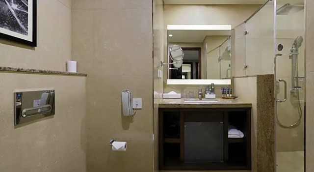 Номер Premier Novotel Kochi Infopark