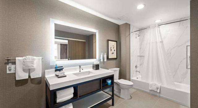 Четырёхместный люкс Embassy Suites By Hilton Irving Las Colinas