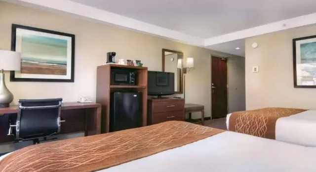 Номер Standard Comfort Inn Silicon Valley East