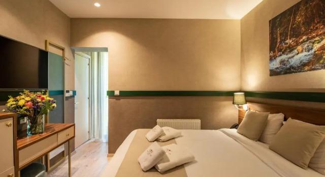 Номер Economy Petit Palais Platres Boutique Hotel
