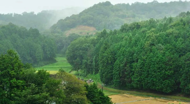 Люкс Mashikokan Satoyama Resort Hotel