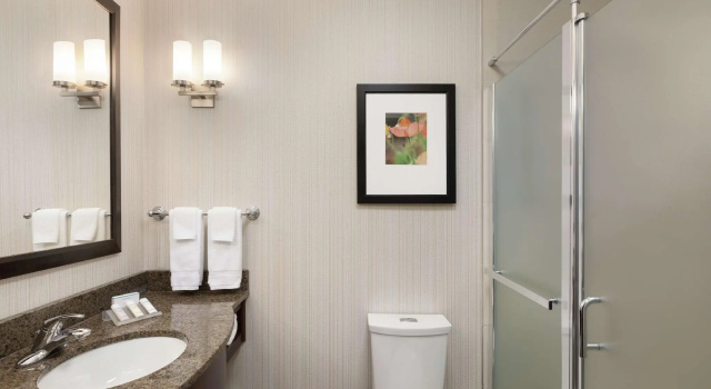 Двухместный номер Standard Hilton Garden Inn Stony Brook