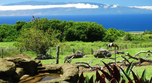 Коттедж Kohala Lodge- Vacation Rental House