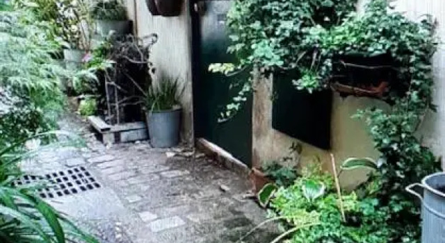 Le nichoir aux oiseaux