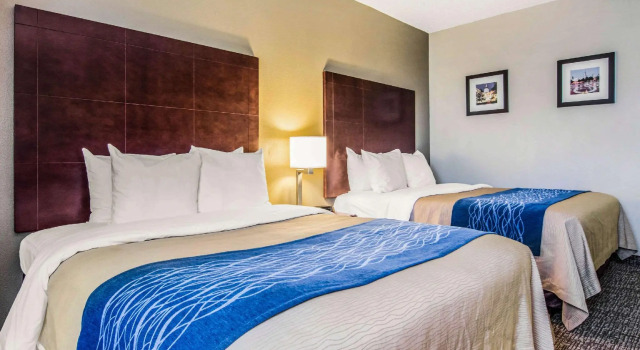 Четырёхместный номер Standard Comfort Inn Atlanta Downtown South