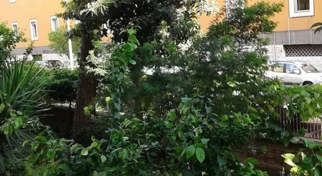 Bed & Breakfast Livinghouse, Prenota Hotel Ostiense Roma