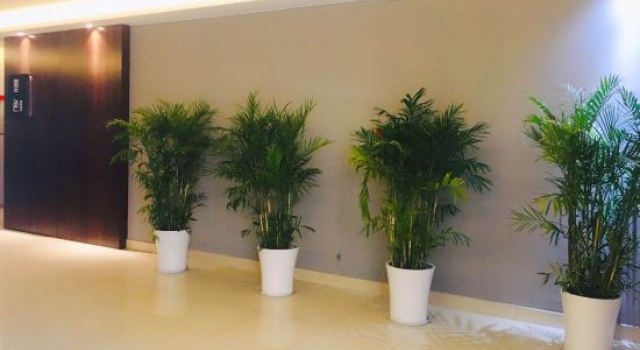 Huzhou Mose Hotel, Prenota Hotel Huzhou Zhejiang