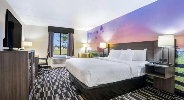 Standard Zimmer Clarion Pointe Richmond North near University