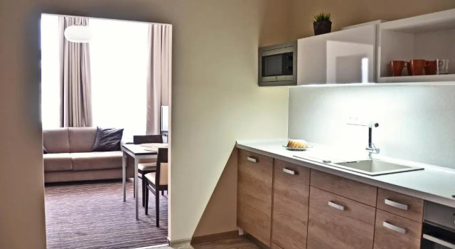 Люкс Hotel U Hradu