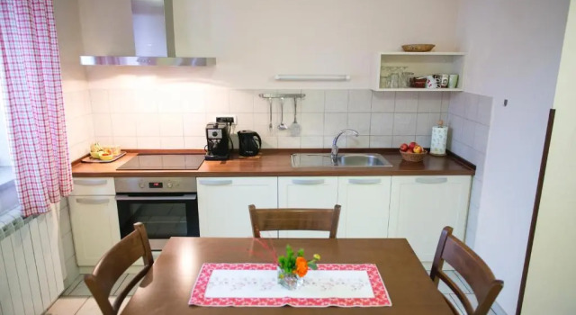Апартаменты c 1 комнатой Guesthouse Muha