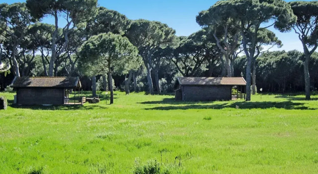 Apartment Near Grosseto's Blue Flag Beaches