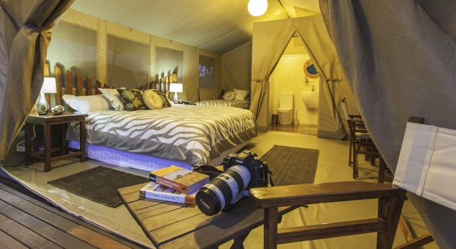 Wildebeest Eco Camp, Book Campground Hotels in Nairobi with a Pool, Swimming Pool