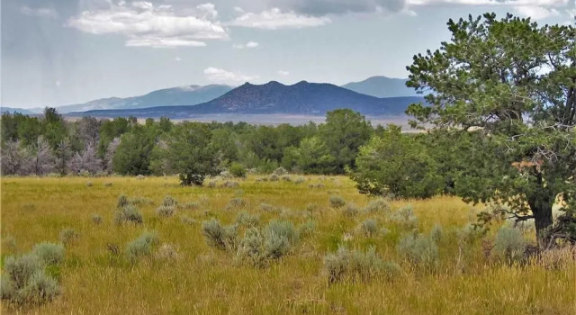 Alto Oso, 3 Bedrooms, Lush Forest View, Deck, Spa, Hot Tub, Sleeps 6, Book Hotel Alto New Mexico