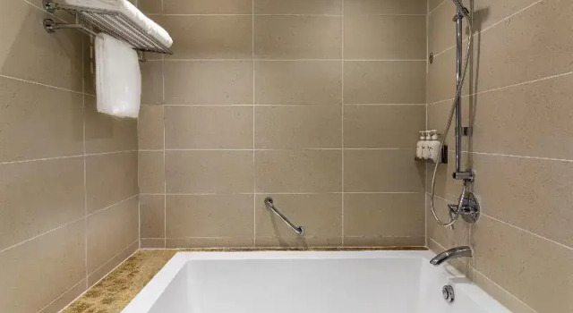 Двухместный номер Standard c 1 комнатой с балконом Holiday Inn Cochin by IHG