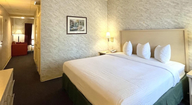 Двухместный номер Standard Park Suites Hotel