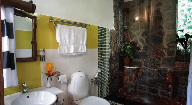 Номер Deluxe Wild Elephant Eco-Friendly Resort