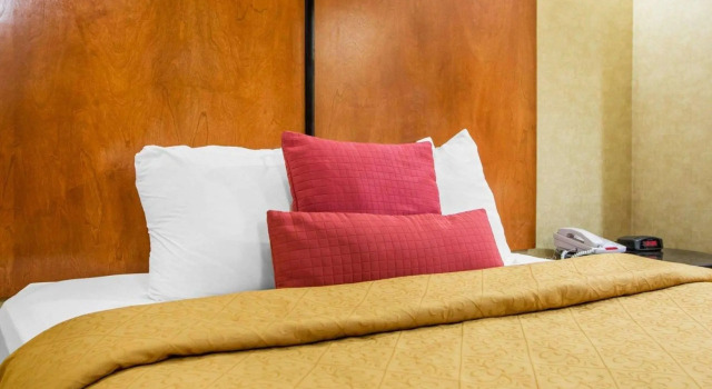 Двухместный номер Standard Quality Inn & Suites North-Polaris