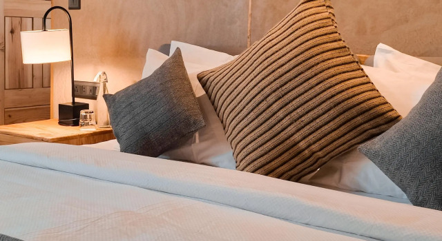 Номер Standard Chospa Hotel, Leh