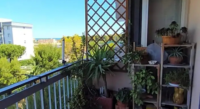 Paky's House