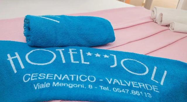 Трёхместный номер Standard с видом на море Hotel Joli