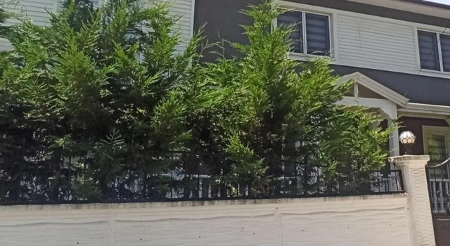 Grand Vadi Villa, Varaa Villa Mökit kohteessa Sakarya, Mökki