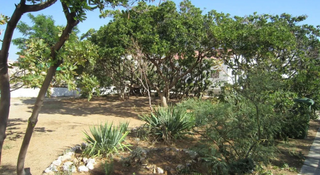 Light-filled Apartment in Dalmatia With Garden, Book Lejlighed Pag Pag øen