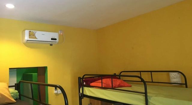 Cheeky Piggy Hostel, Rezervovat Hostel Hostely v Bali, Hostel
