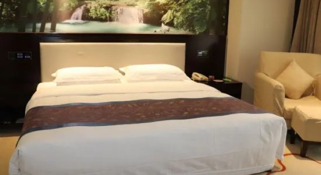 Люкс Deluxe Tianyi Commercial Hotel Xi'an