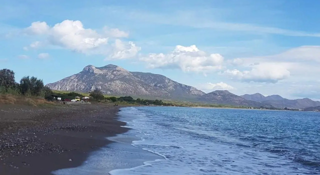 Villa nar