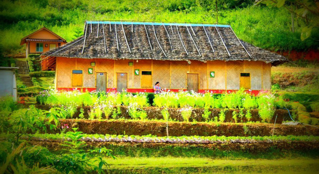 Mong Homestay Resort