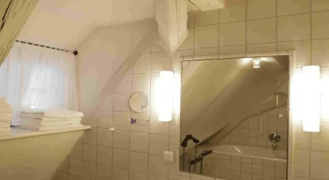 Одноместный номер Hotel Weisses Ross