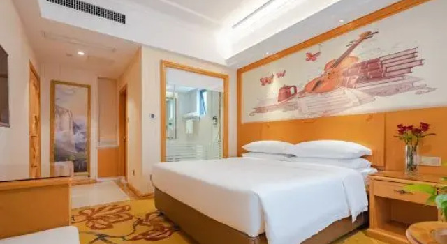 Люкс Deluxe Vienna Hotel (Wuhan Hankou Railway Station Shiqiao Subway Station)