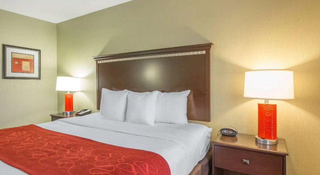 Люкс Comfort Suites Locust Grove Atlanta South