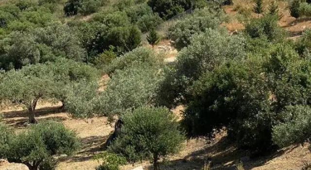 Buahjar Boutique Home Apartment, Book Apartment Hotels in Sicily with a Pool, Swimming Pool