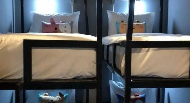 Кровать в общем номере The Bed Hostel at Patong