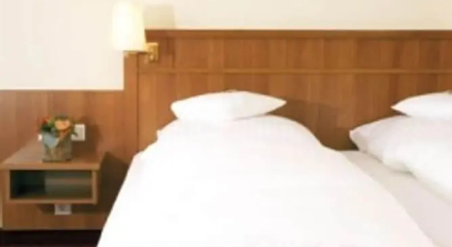 Двухместный номер Standard Waldhotel Nachtigall