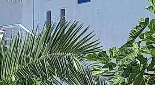 Apartment Zajec