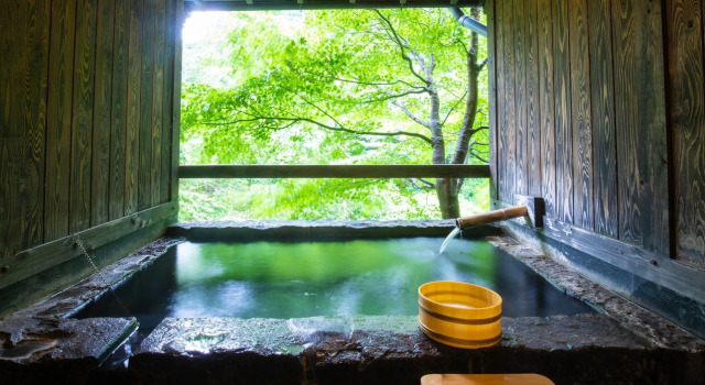 Номер Standard Shirataki Hotel