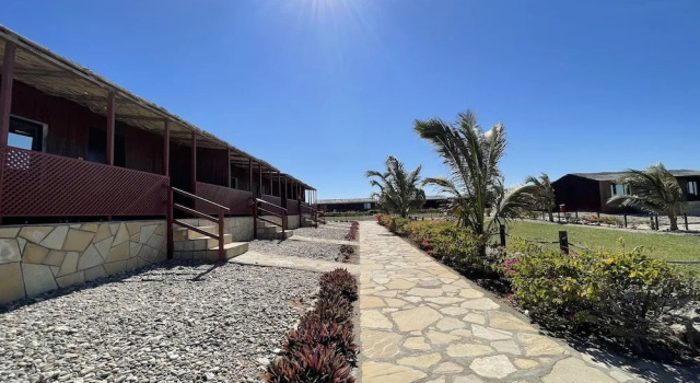 Двухместный номер Standard Курорт Turtle Beach Resort